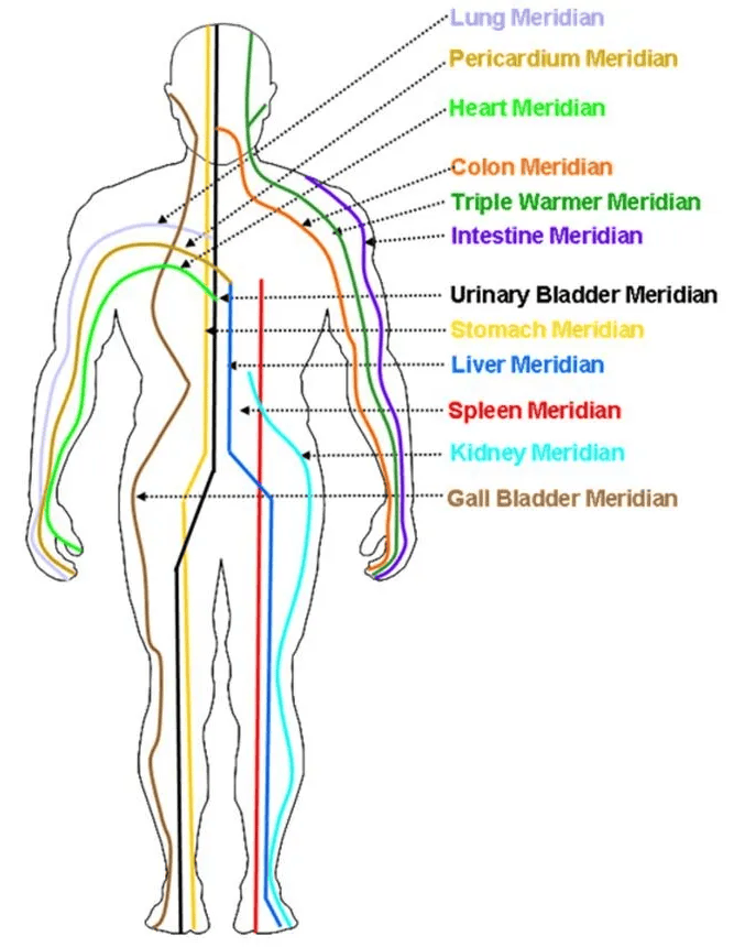 Diagram showing the meridians of the body, labeled with their respective names, including Lung, Heart, Kidney, and Urinary Bladder meridians, among others.